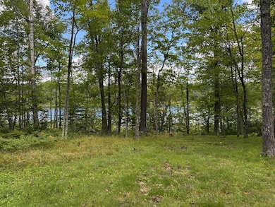 27001 Fawn Ln, Palisade, MN 56469 - photo 4