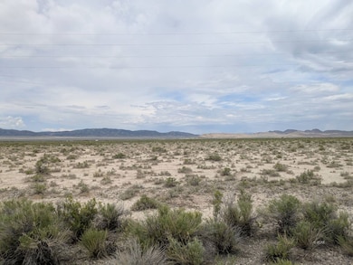 0 01059f041 unit 3626248, Montello, NV 89835 - photo 3