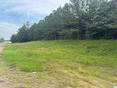 0 U S 43 unit 21410973, Guin, AL 35563 - photo 5