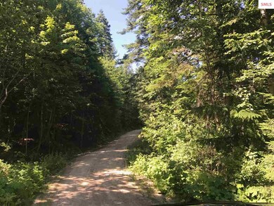 Blk 3 Lot 4 Carr Creek Rd, Sandpoint, ID 83864 - photo 4
