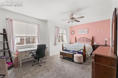 6260 Fowler Mill Point, Colorado Springs, CO 80923 - photo 7