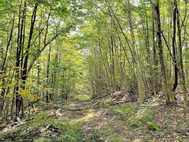 VT Vermont Route 100, Weston, VT 05161 - photo 6