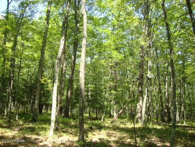 Lot 10 Briarcrest Dr, Lackawaxen Township, PA 18428 - photo 6