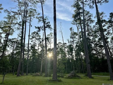 21750 Rosemound Ln, Springfield, LA 70462 - photo 4