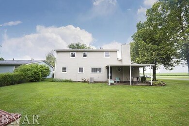 503 Boles Ave, Chenoa, IL 61726 - photo 5