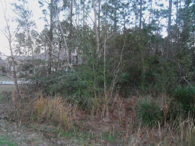 0 Hemlock Trace unit MFROM531203, Ocala, FL 34472 - photo 4