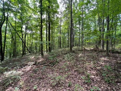 Woods