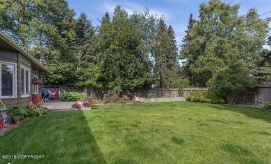 raspberry bushes & perennials