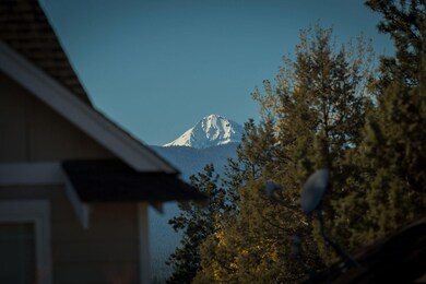 025_61510TallTree_MountainView