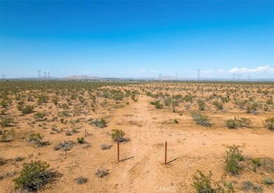 10 171st St E, Palmdale, CA 93591 - photo 6