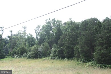 0 Mt Hebron unit 1003241155, Strasburg, VA 22657 - photo 6