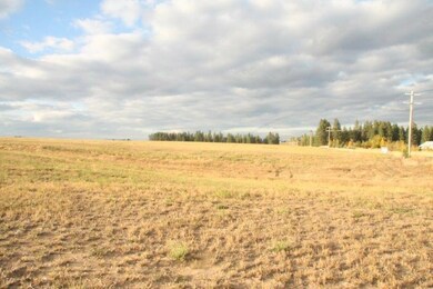 XXXX N Division Rd Tract 7, Colbert, WA 99005 - photo 3