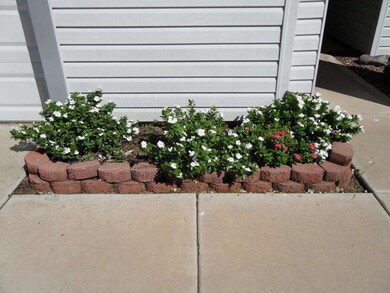 Front Flowers