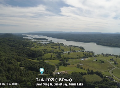 Lot 93 Swan Song Tr, Sharps Chapel, TN 37866 - photo 4