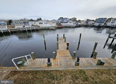113 Pine Tree Rd, Ocean City, MD 21842 - photo 4