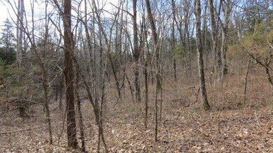 1 Baxter Ridge Rd, Lawrenceburg, KY 40342 - photo 5