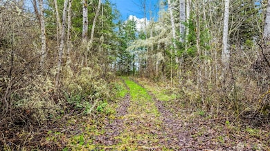 123 Highland Dr E, Roy, WA 98580 - photo 4