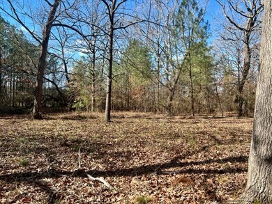 2004 County Road 915, Nacogdoches, TX 75964 - photo 4