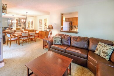 17 Kettlebrook Rd unit C6, Ludlow, VT 05149 - photo 2