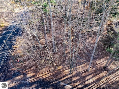 1242 Randall Ct, Traverse City, MI 49686 - photo 3