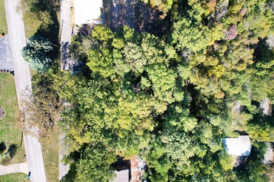 2-web-or-mls-DJI_0135