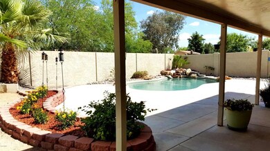 Pool and huge backyard