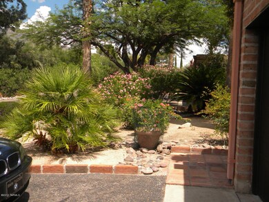 front side of yard