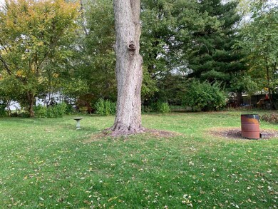 Bailey back yard1