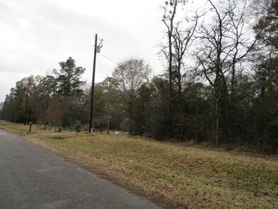 Lot 63 Willow Creek Rd, Hockley, TX 77447 - photo 7