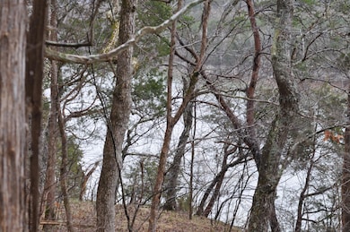 Lot 35 1 Pl Coyler Rd, Somerset, KY 42503 - photo 3