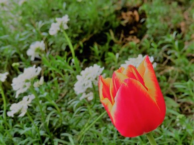 Additional Photo