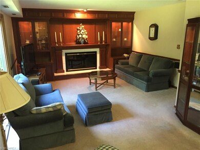 Lower level family room with slider to back yard.