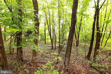 1900 Golden Morning Dr, Bowie, MD 20721 - photo 4