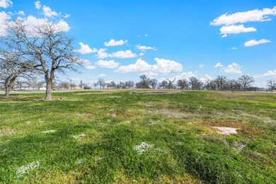 305 Pidgeon Ln, Weatherford, TX 76087 - photo 4