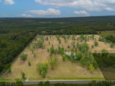 Lot 6 Highway 287, Greenbrier, AR 72058 - photo 2