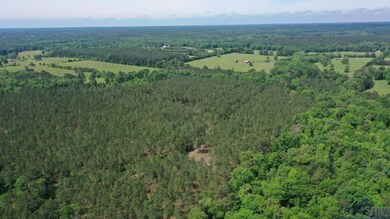 Drone / aerial view with a forest view