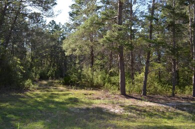 000 Sea Eagle Dr, Keaton Beach, FL 32348 - photo 3