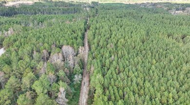 unlisted-address, Mize, MS 39116 - photo 5