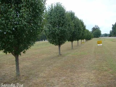 0 Ar Hwy 236 W unit 10322781, Lonoke, AR 72086 - photo 2