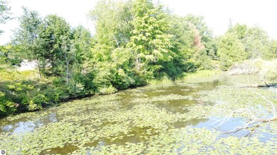 0 Arthur Ct unit 1926541, West Branch Township, MI 48661 - photo 6