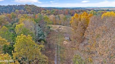 2020 Upper Rinehart Rd, Dandridge, TN 37725 - photo 6