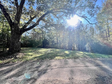 0 Cemetery Rd, Michie, TN 38357 - photo 6