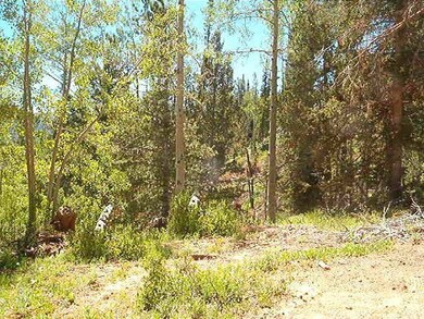 Another view of lot