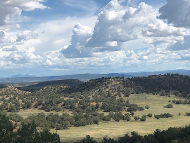 0 Nsn Highway 36 unit 25747167, Fence Lake, NM 87513 - photo 2