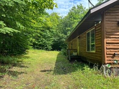 6136 Co Rd 413, McMillan, MI 49853 - photo 4