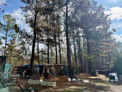 2470 Arkansas 84, Amity, AR 71921 - photo 4