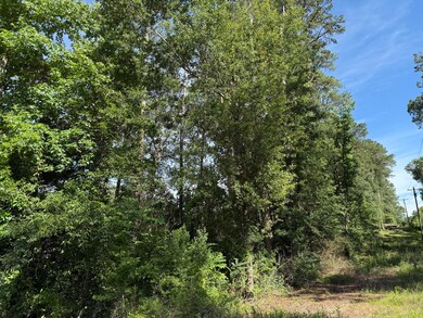 2 +/- Acres Hwy 49, Collins, MS 39428 - photo 6