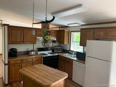 233 Martin Branch Rd, Leicester, NC 28748 - photo 4