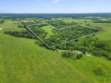 8-web-or-mls-DJI_0507