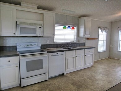 36640 Grace Ave, Zephyrhills, FL 33542 - photo 7